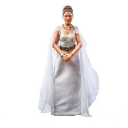 STAR WARS PRINCESS LEIA ORGANA (YAVIN 4) (EPISODE IV) BLACK SERIES FIGURAS 15 CM 2021 WAVE 4