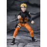 NARUTO UZUMAKI JINCHUURIKI WITH HOPE VER FIG 14 CM NARUTO SHIPPUDEN SH FIGUARTS