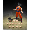 SON GOKU KIND HEARTED SAIYAN. SH FIGUARTS. DRAGON BALL Z SON GOKU KIND HEARTED SAIYAN. SH FIGUARTS. DRAGON BALL Z
