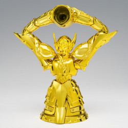 [PAGO DE RESERVA] AQUARIUS HYOGA INHERITOR OF THE GOLD CLOTH FIGURA 17,5 CM SAINT SEIYA SAINT CLOTH MYTH EX COLLECTORS SHOP