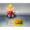 (Pago de Reserva) BROLY 40TH EDITION FIGURA 19 CM DRAGON BALL Z SH FIGUARTS COLLECTORS SHOP